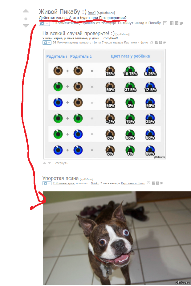 ����������?