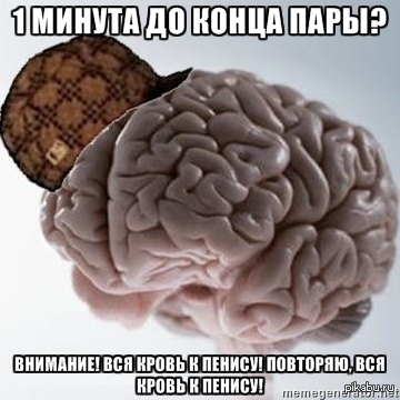 Scumbag Brain. 