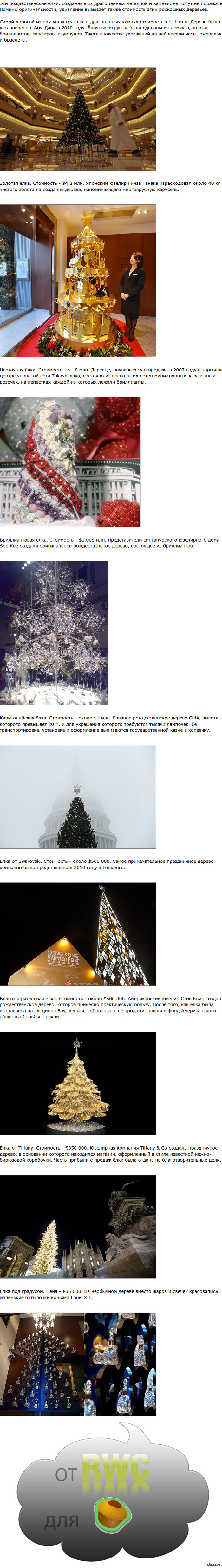 ����� ������� � ���� ����.