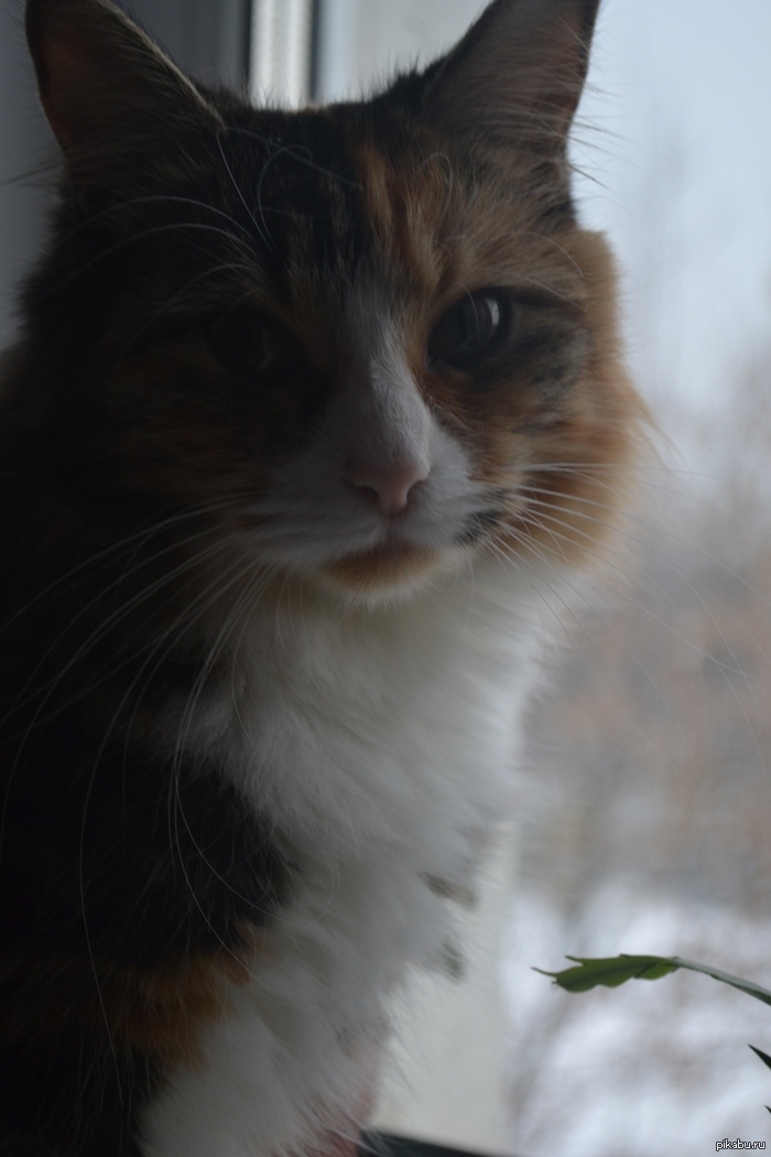 ��, ��� �� ��� ����������� ����� ������