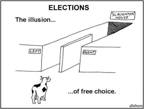 ������� ��������