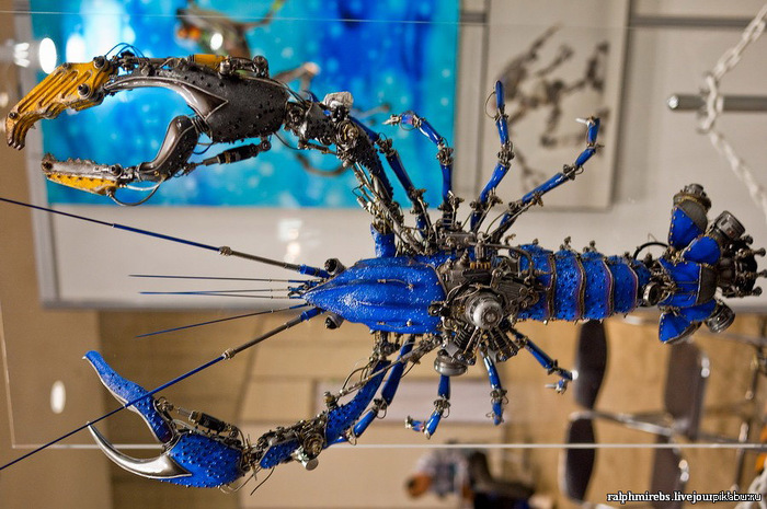 ��� 85 ���