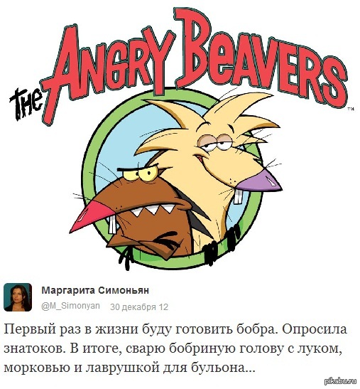 Крутые бобры заставка