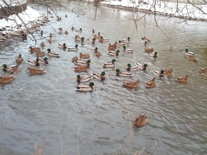 Река в Москве 30 декабря.