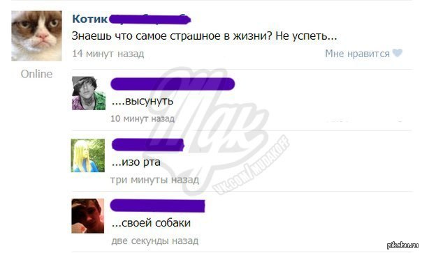 девушка шарит.) (простите, что с мдк)  =\