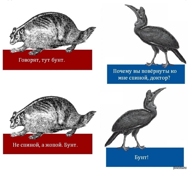 Тяжелые наркотики? | Пикабу