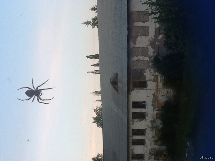 ��� � ����