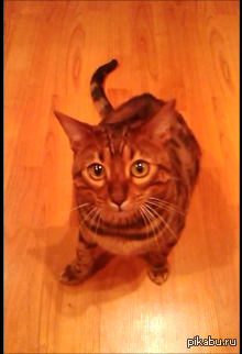 ���� ����� � ����������� �������