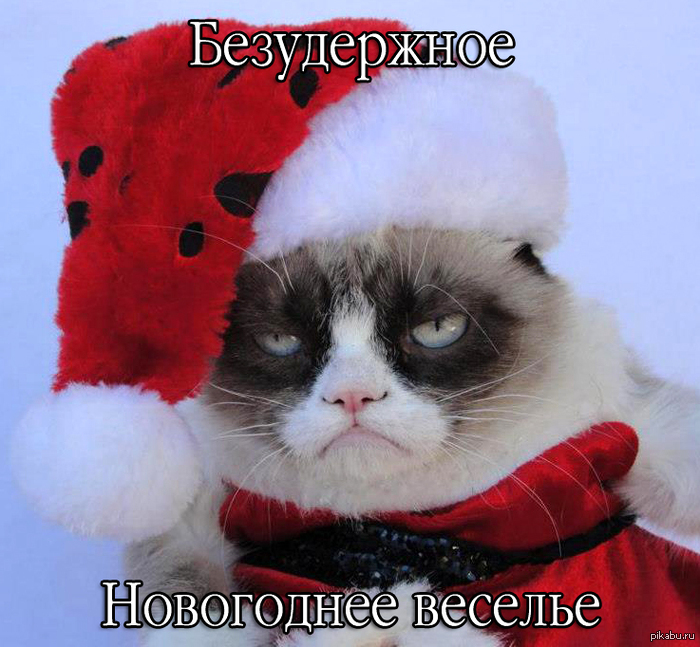 Веселье