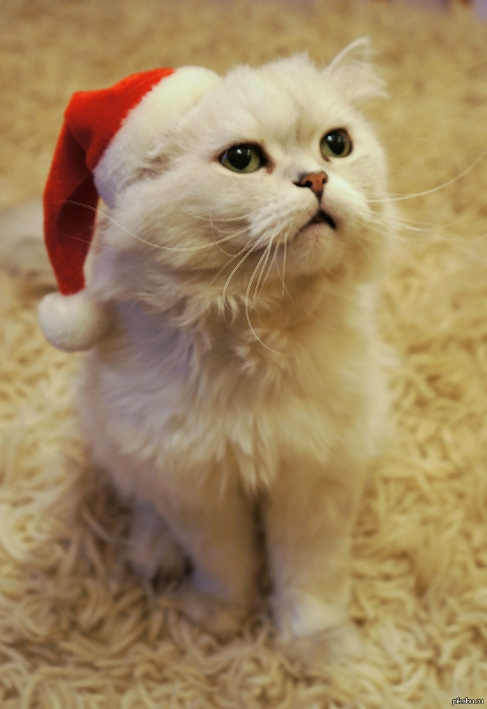 �������� ����������� ���� � �����������!!