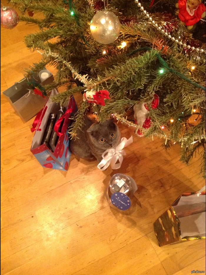 ���������))