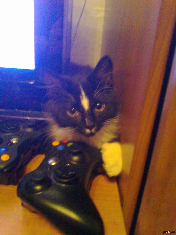 Всех с Новым Годом! Слоупок я)))