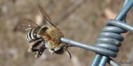 Не повезло.