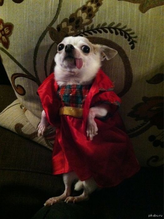 ��� ����������? � ����������?