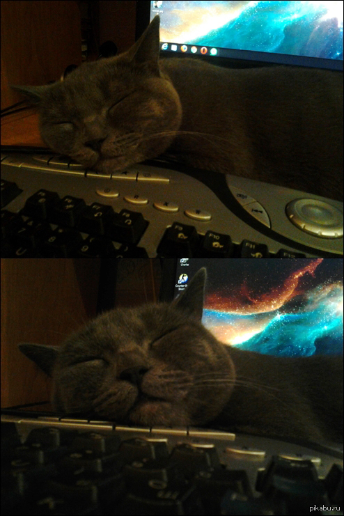 ��� ����� ������ ��� ���? :)