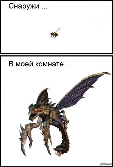 Как я вижу пчел | Пикабу
