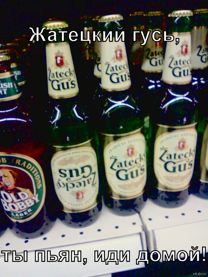 � ���� �� ��������