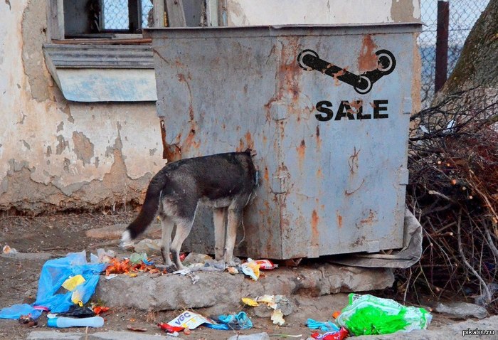 ���� ��������� �� �����