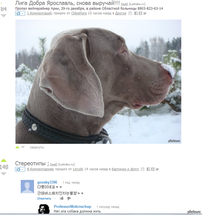 ����� �� ���������� )