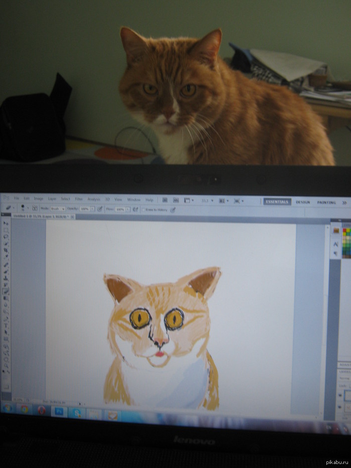 �� ����� ���� ������� ����� �� ���.