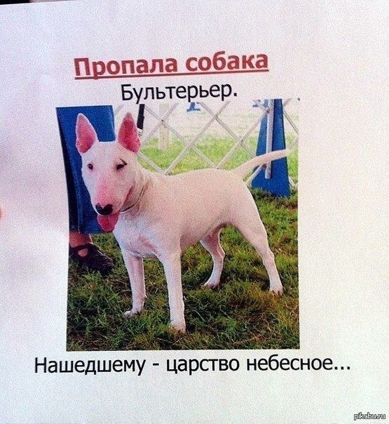 ��� ����� ���������� ����� ������ � ���� ������