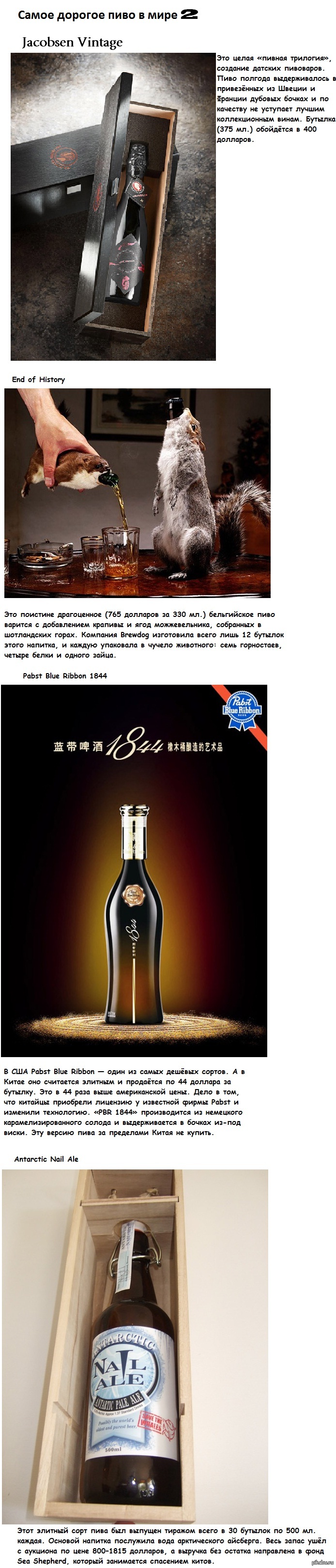 Самое дорогое пиво 2