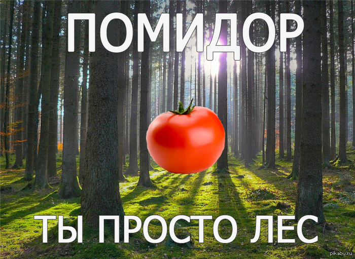 Какой же он красивый!