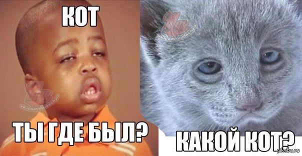 А действительно, какой КОТ?