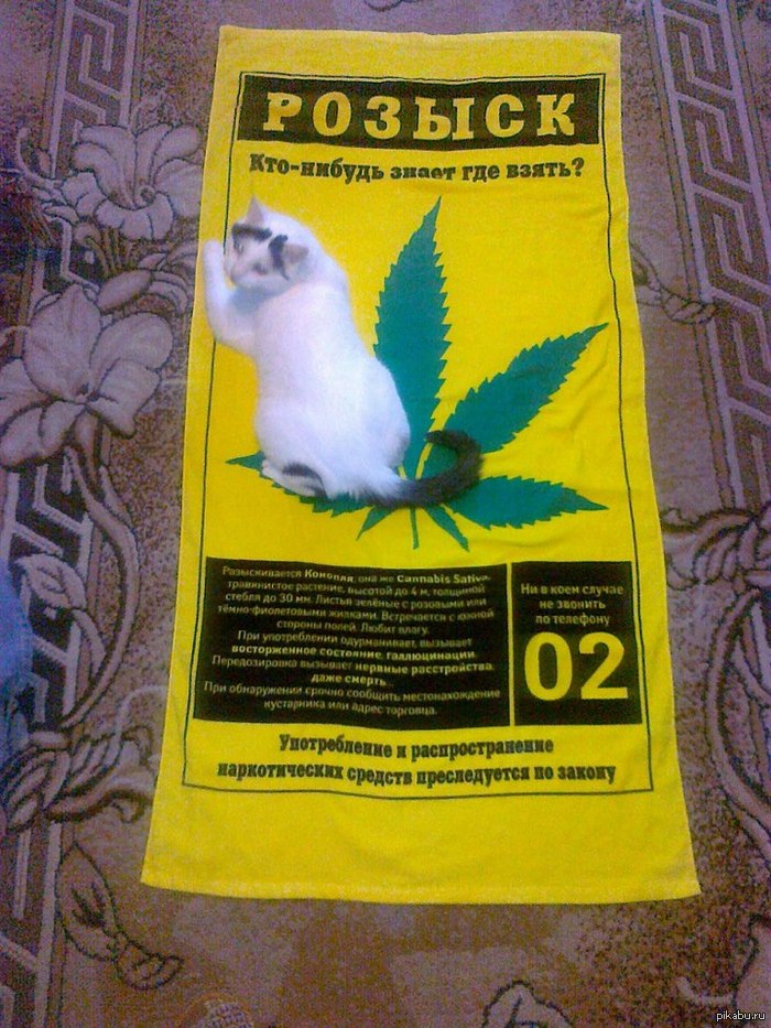 Внимание! Розыск! | Пикабу