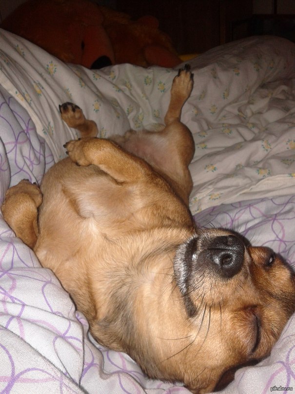 ������������ ����� � ���...