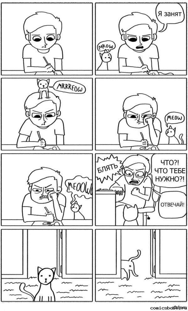 Кошки такие кошки.