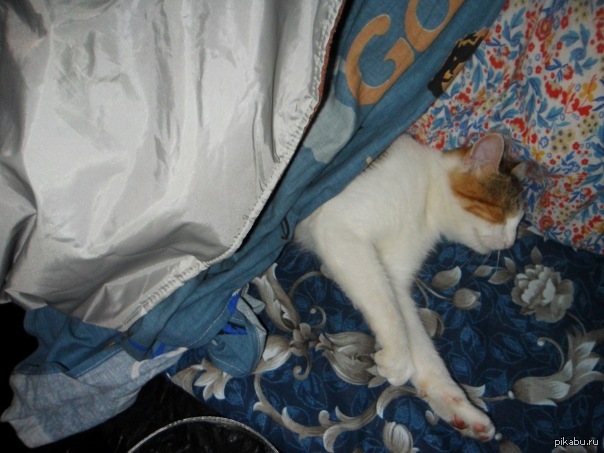 ������ ������� =)