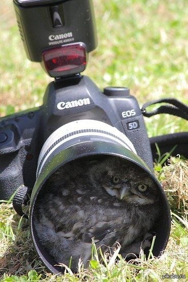 � �� ������ ��� ��-������� ��������?