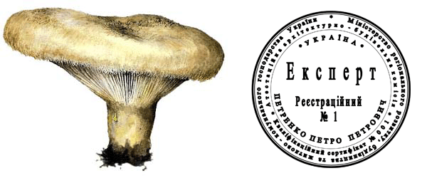 ������-������...