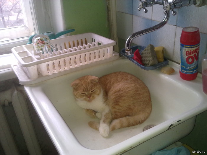 1� ������ � �������...