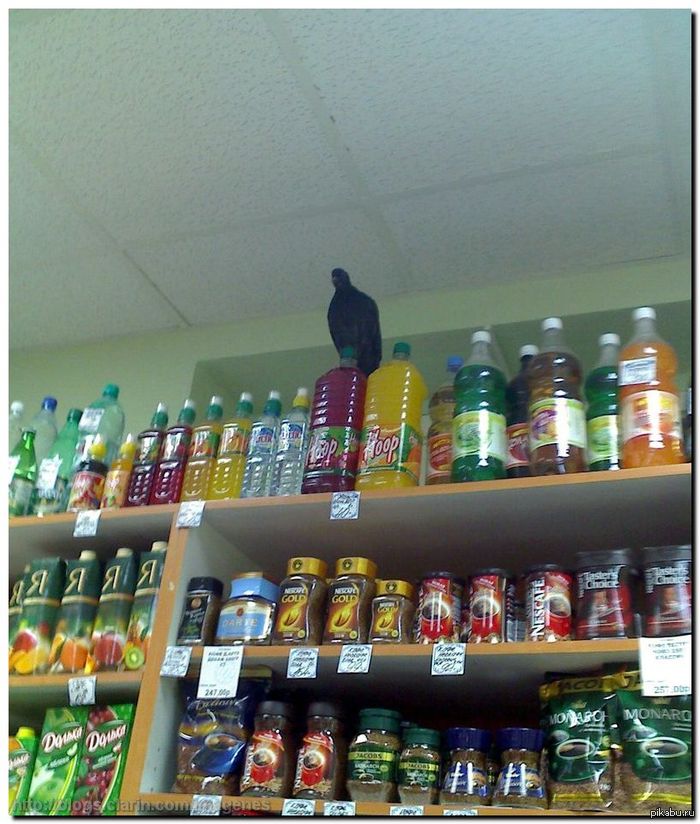 � �������