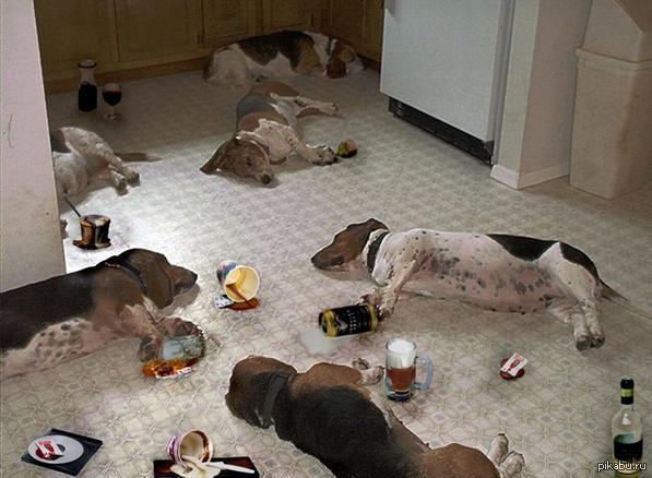 ����� ���� ��������, � ���...