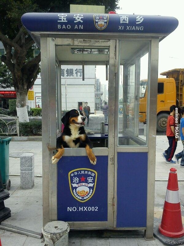 �-9, ������� ������