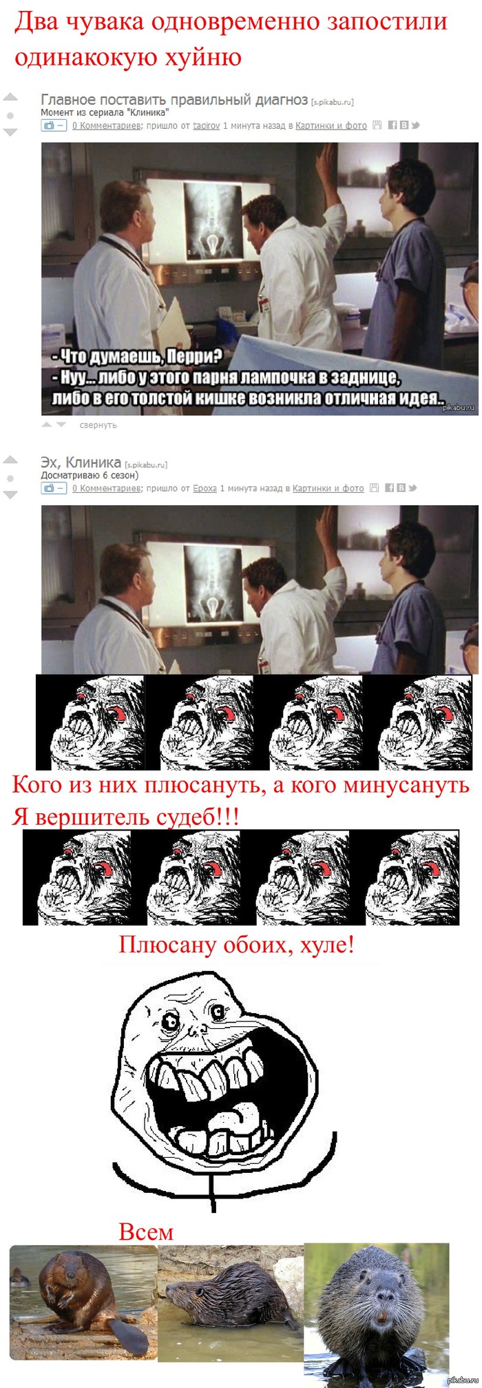 Пикабушникам бобра!!