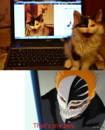 That's my boy.     http://pikabu.ru/story/ccccombo_924678.