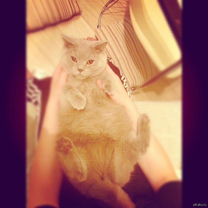 ������ ����� ������ :3!!!