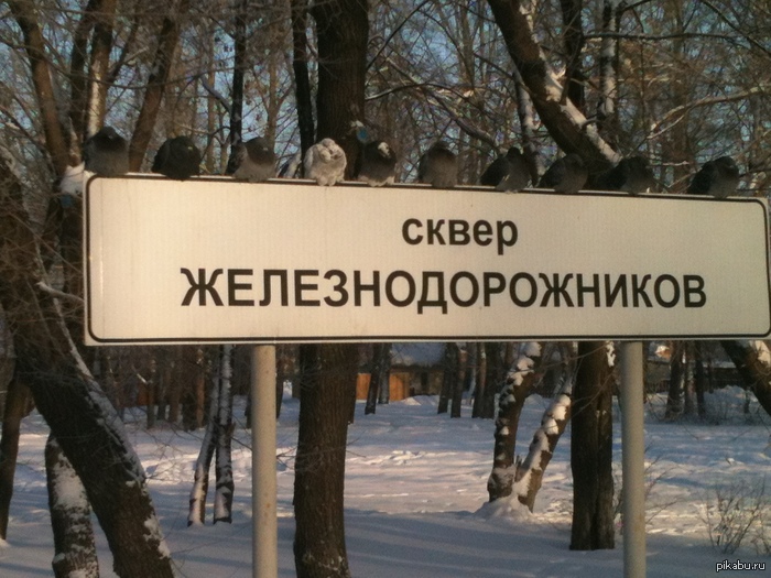 ��� ����� � ������� ������ ������ �� ��������:)  P.S. �� ����� -33. ������.