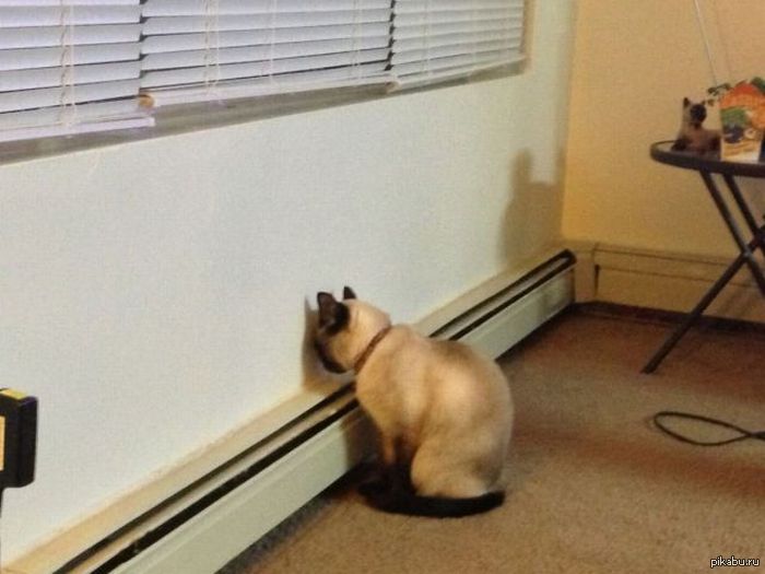 Пусть это прекратится, Пусть это прекратится, Пусть это прекратится...