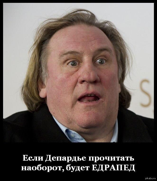 Едрапед | Пикабу