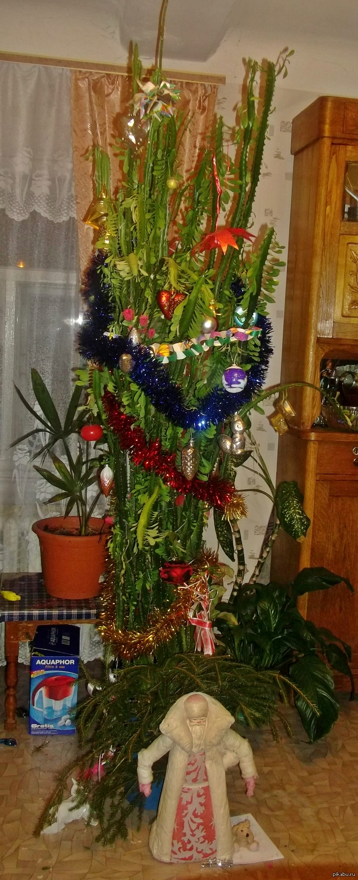    ,   )  :  http://pikabu.ru/story/elka_dlya_slabakov_tolko_kaktustolko_khardkor_892070