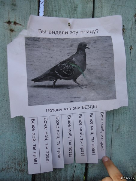 Капитан добрался и до листовок..