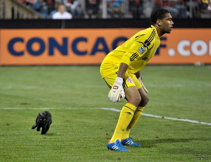 ��������� ����