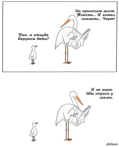 Иди спроси. Аист Мем. Шутки про аиста. Аист с ребенком прикол. Прикол про аистов.