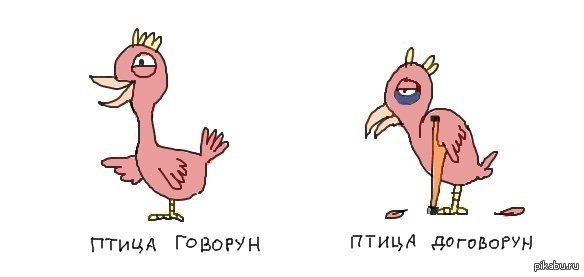 Поздравительные открытки, прикольные картинки птица говорун