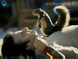 ������� �� �������� ����� �����)